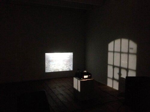 zhe wang - video work - installation art